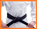 Nuevo Programa Cinturón Negro Judo 1º a 6º San